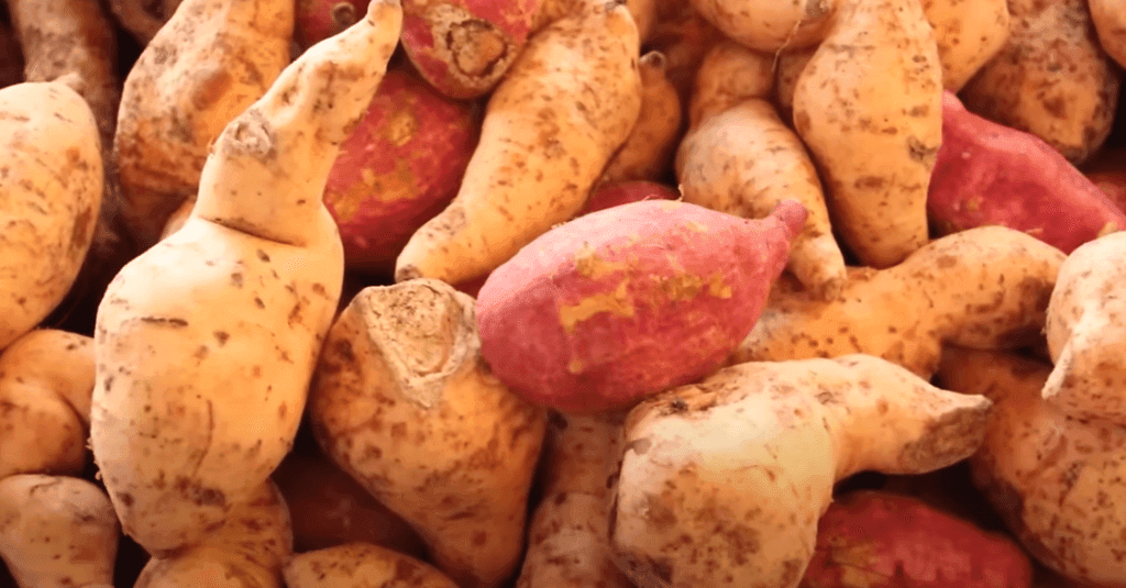 the Benefits of Sweet Potatoes